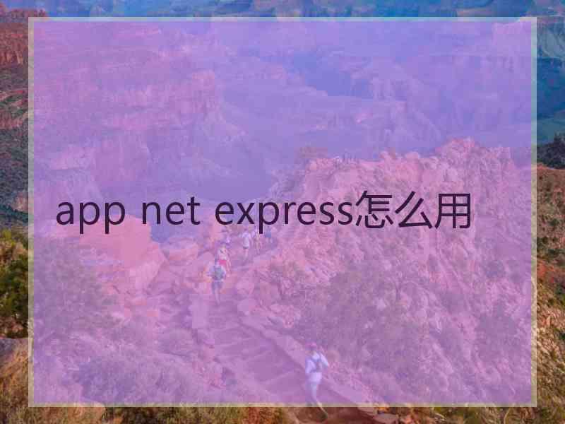 app net express怎么用