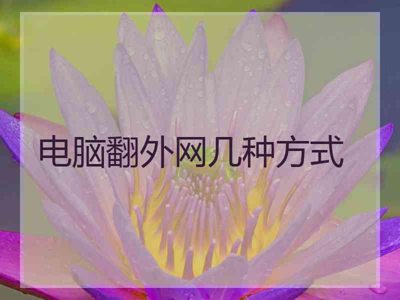 电脑翻外网几种方式