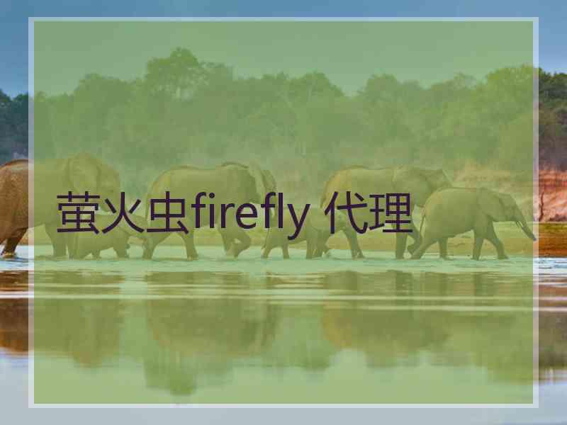 萤火虫firefly 代理