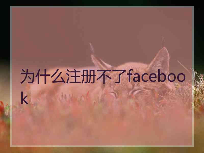 为什么注册不了facebook