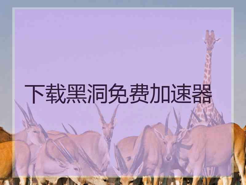 下载黑洞免费加速器