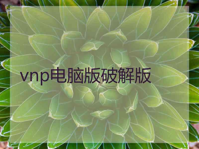 vnp电脑版破解版