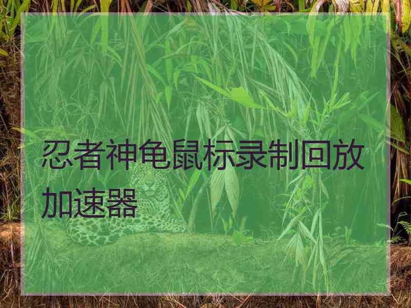 忍者神龟鼠标录制回放加速器