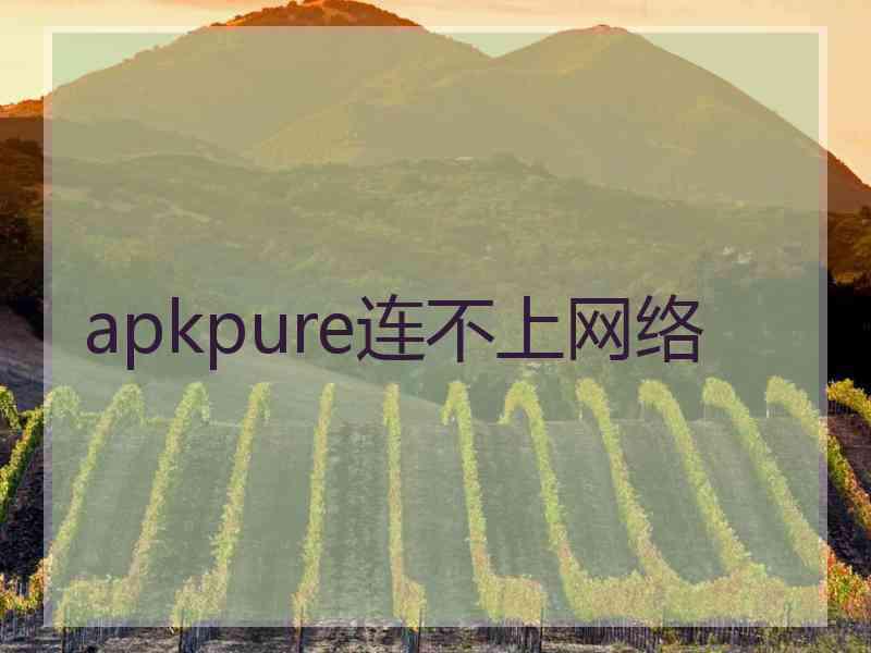 apkpure连不上网络