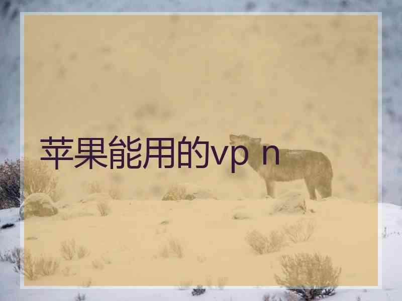 苹果能用的vp n