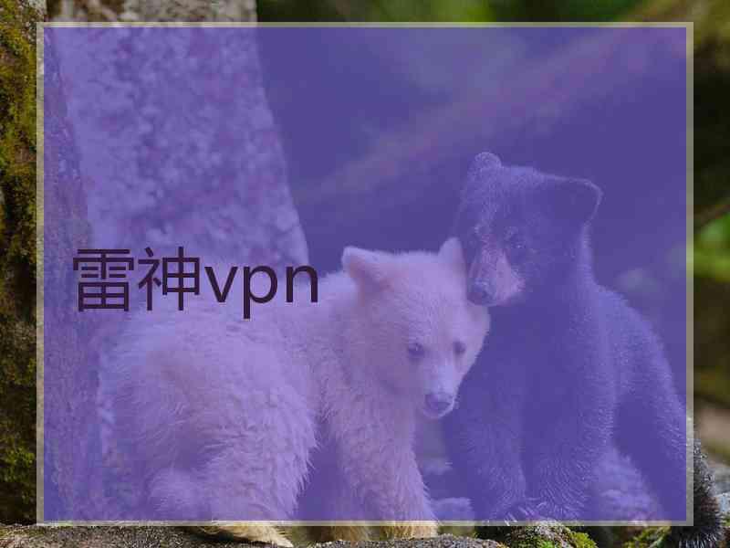 雷神vpn