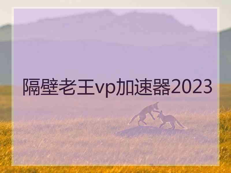 隔壁老王vp加速器2023