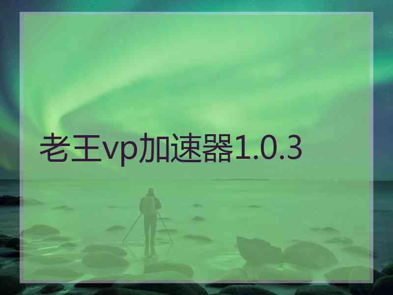 老王vp加速器1.0.3