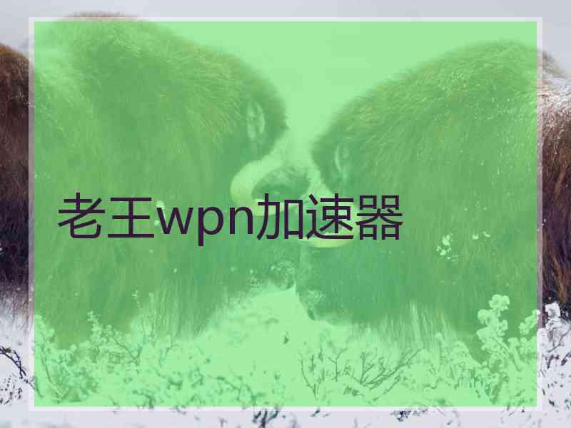 老王wpn加速器