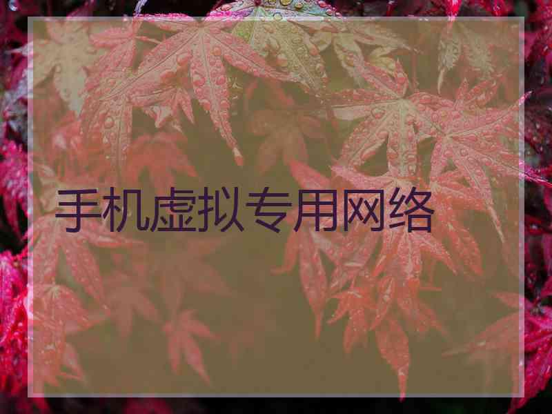 手机虚拟专用网络