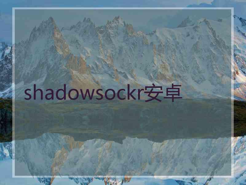 shadowsockr安卓