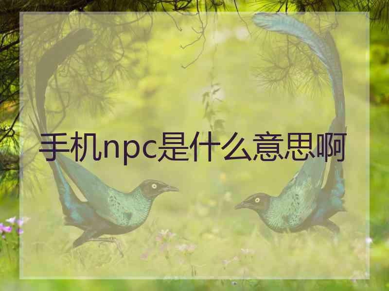 手机npc是什么意思啊