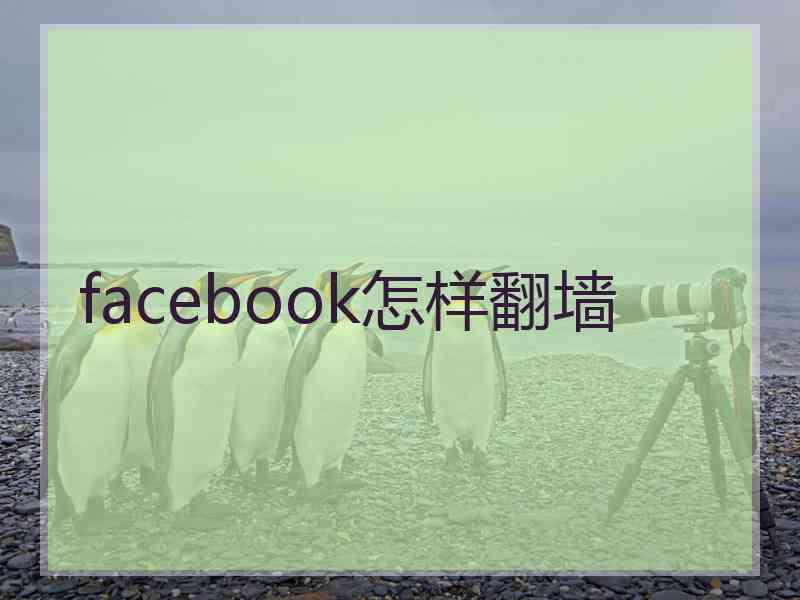 facebook怎样翻墙