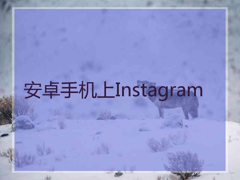 安卓手机上Instagram