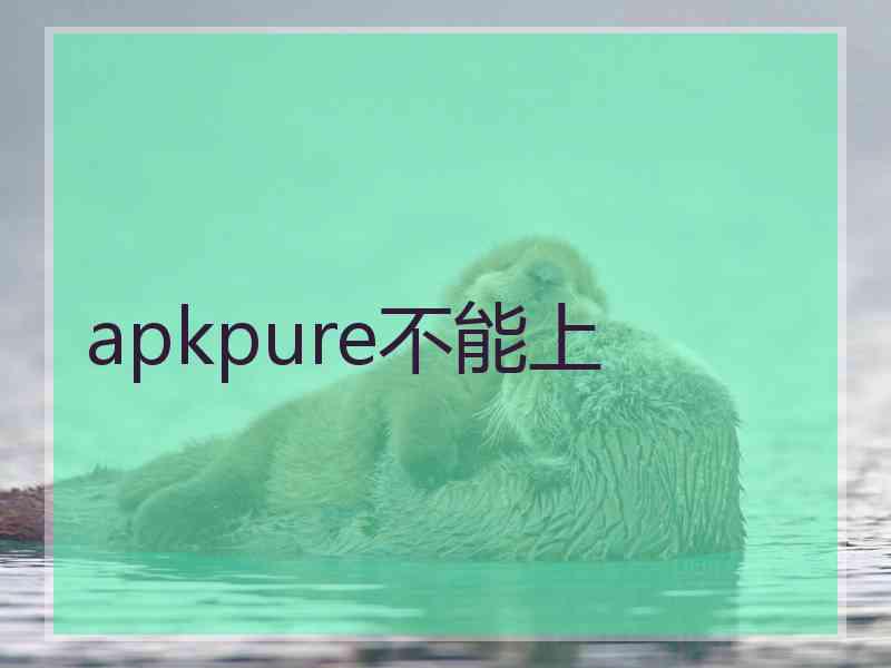 apkpure不能上