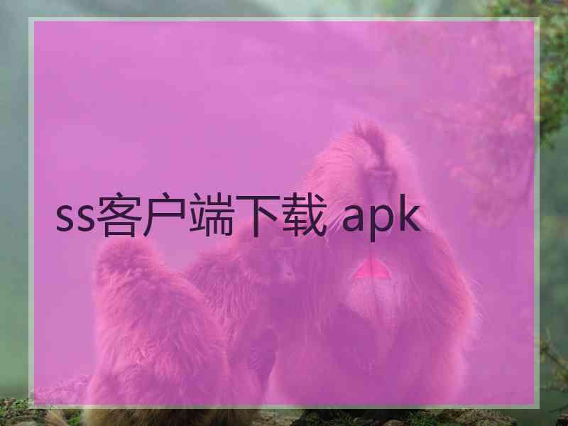 ss客户端下载 apk