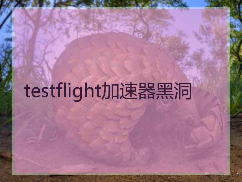 testflight加速器黑洞