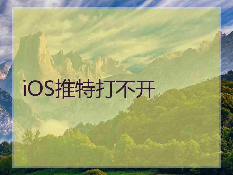 iOS推特打不开