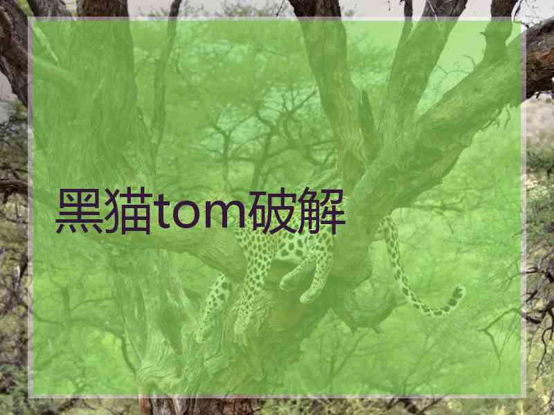 黑猫tom破解