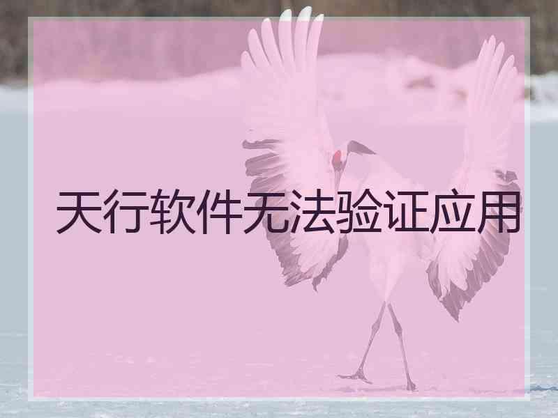 天行软件无法验证应用