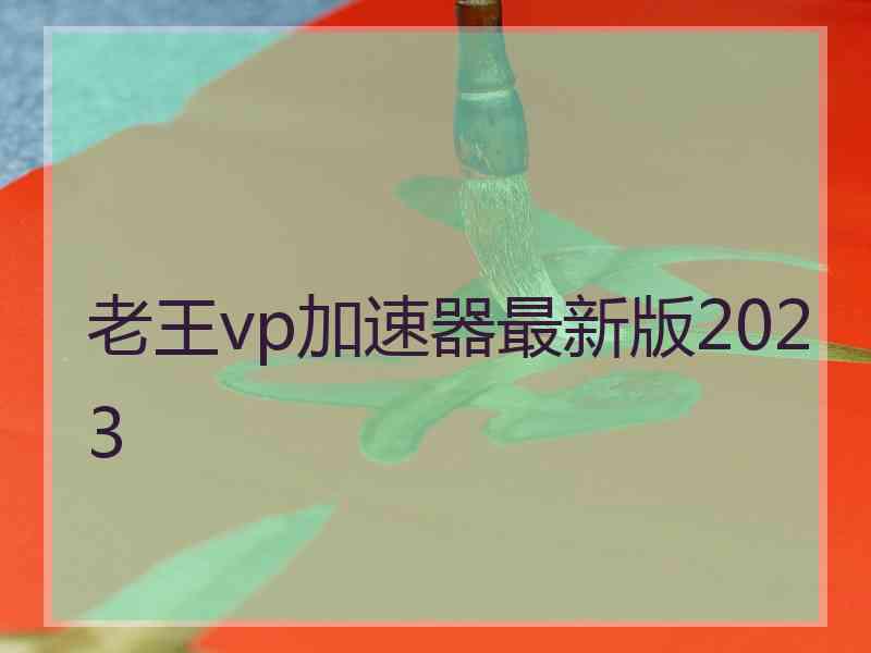 老王vp加速器最新版2023