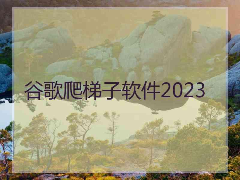 谷歌爬梯子软件2023