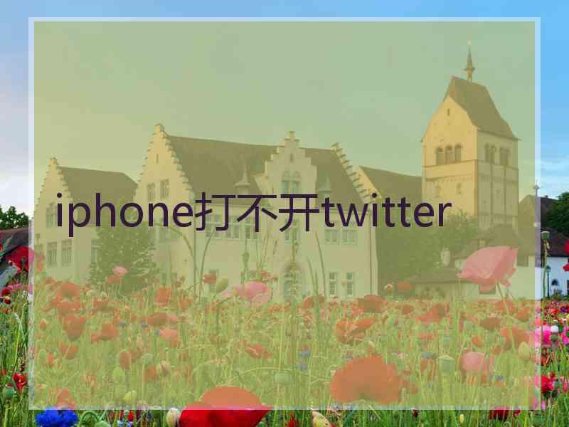 iphone打不开twitter