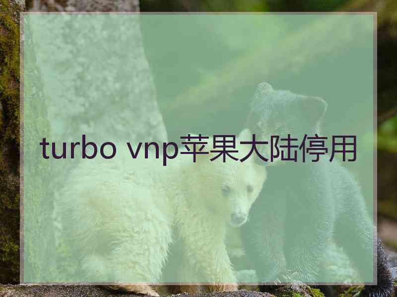 turbo vnp苹果大陆停用