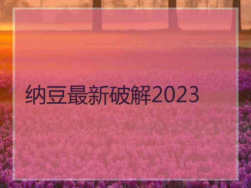 纳豆最新破解2023