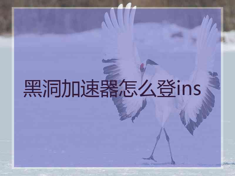 黑洞加速器怎么登ins