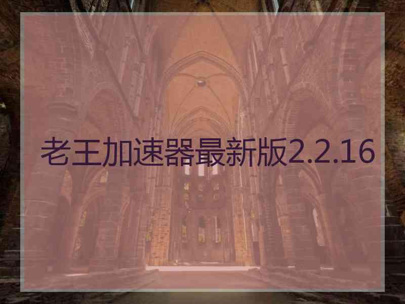 老王加速器最新版2.2.16