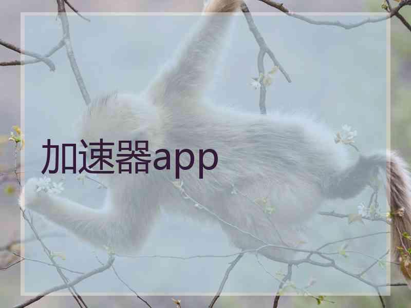 加速器app