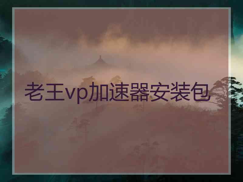 老王vp加速器安装包