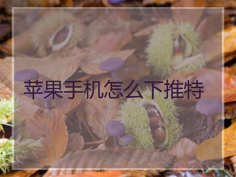 苹果手机怎么下推特