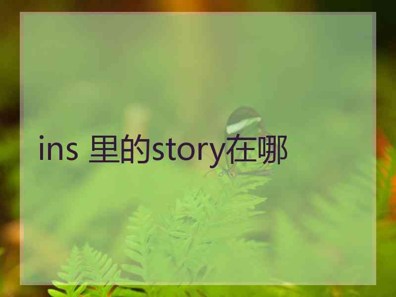 ins 里的story在哪