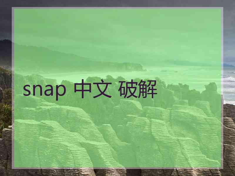 snap 中文 破解