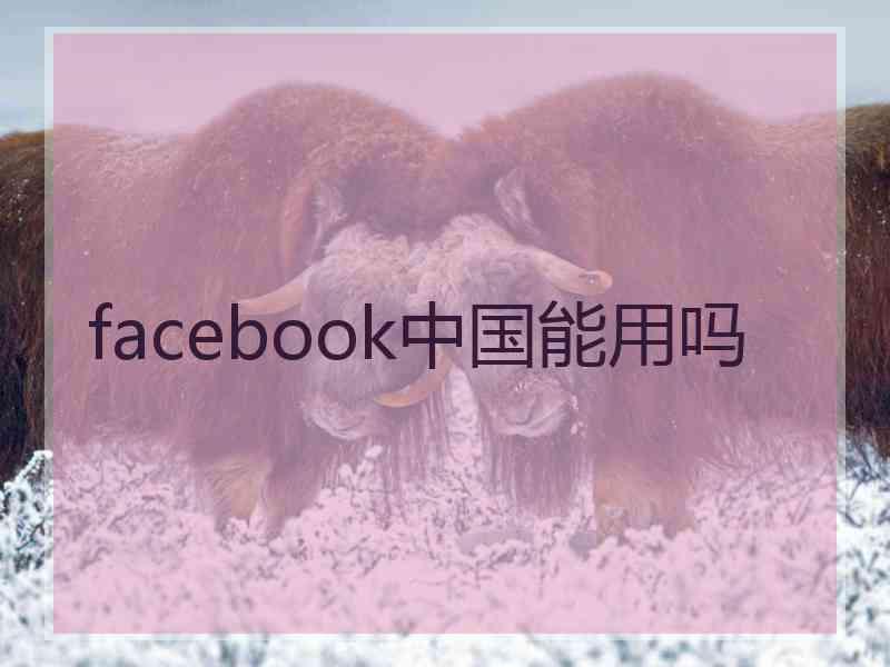 facebook中国能用吗