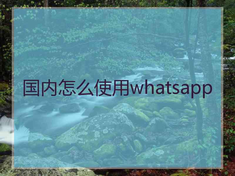 国内怎么使用whatsapp