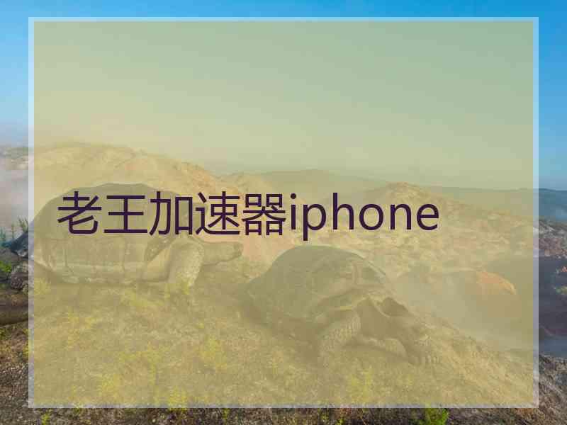 老王加速器iphone