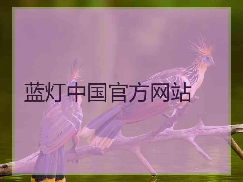 蓝灯中国官方网站