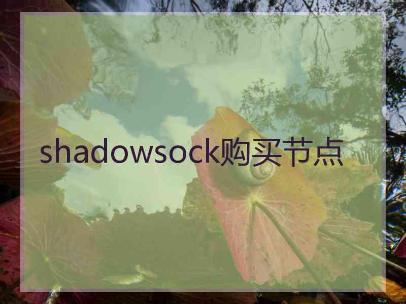 shadowsock购买节点