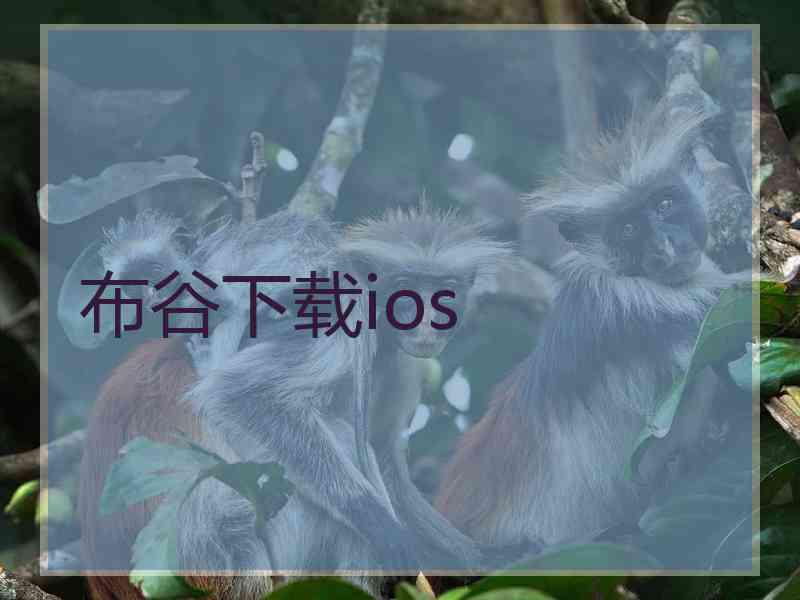 布谷下载ios