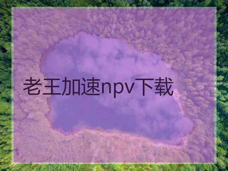 老王加速npv下载