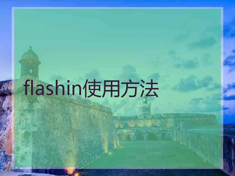 flashin使用方法