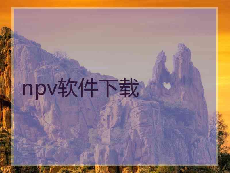 npv软件下载