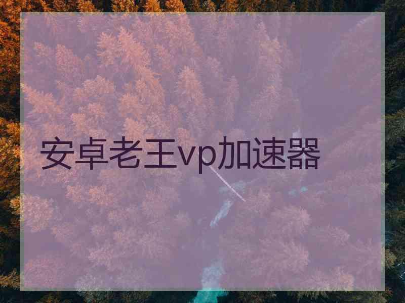 安卓老王vp加速器