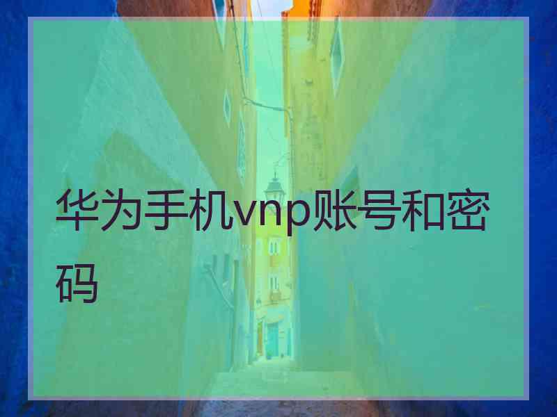 华为手机vnp账号和密码