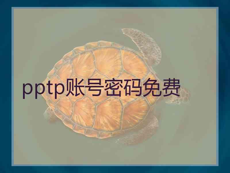 pptp账号密码免费