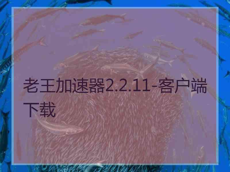 老王加速器2.2.11-客户端下载