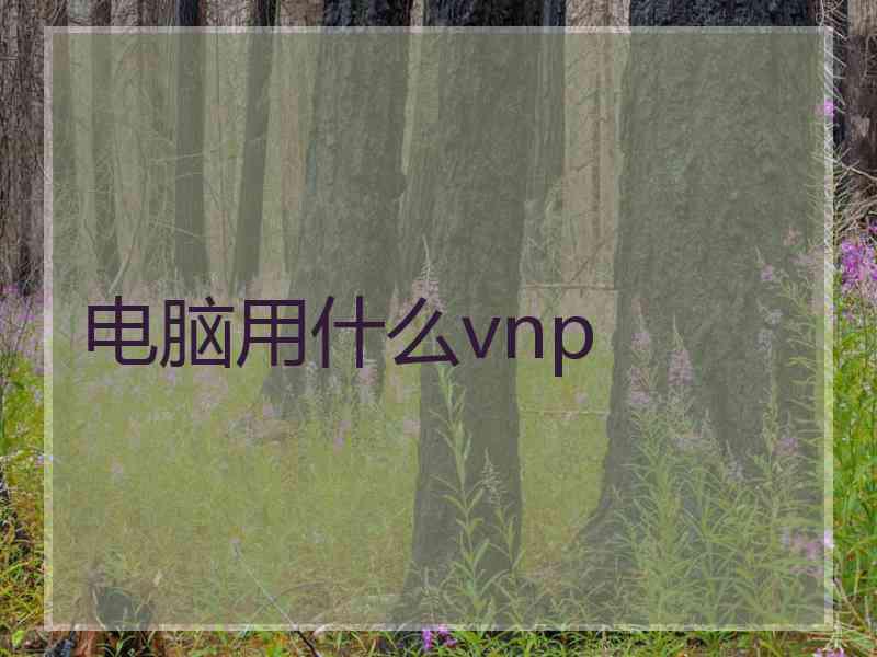 电脑用什么vnp